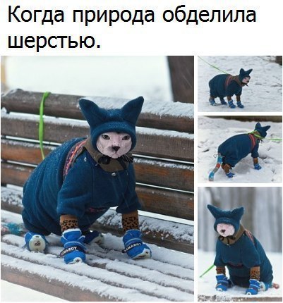Костюм кота
