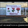 Всё познается в сравнении
