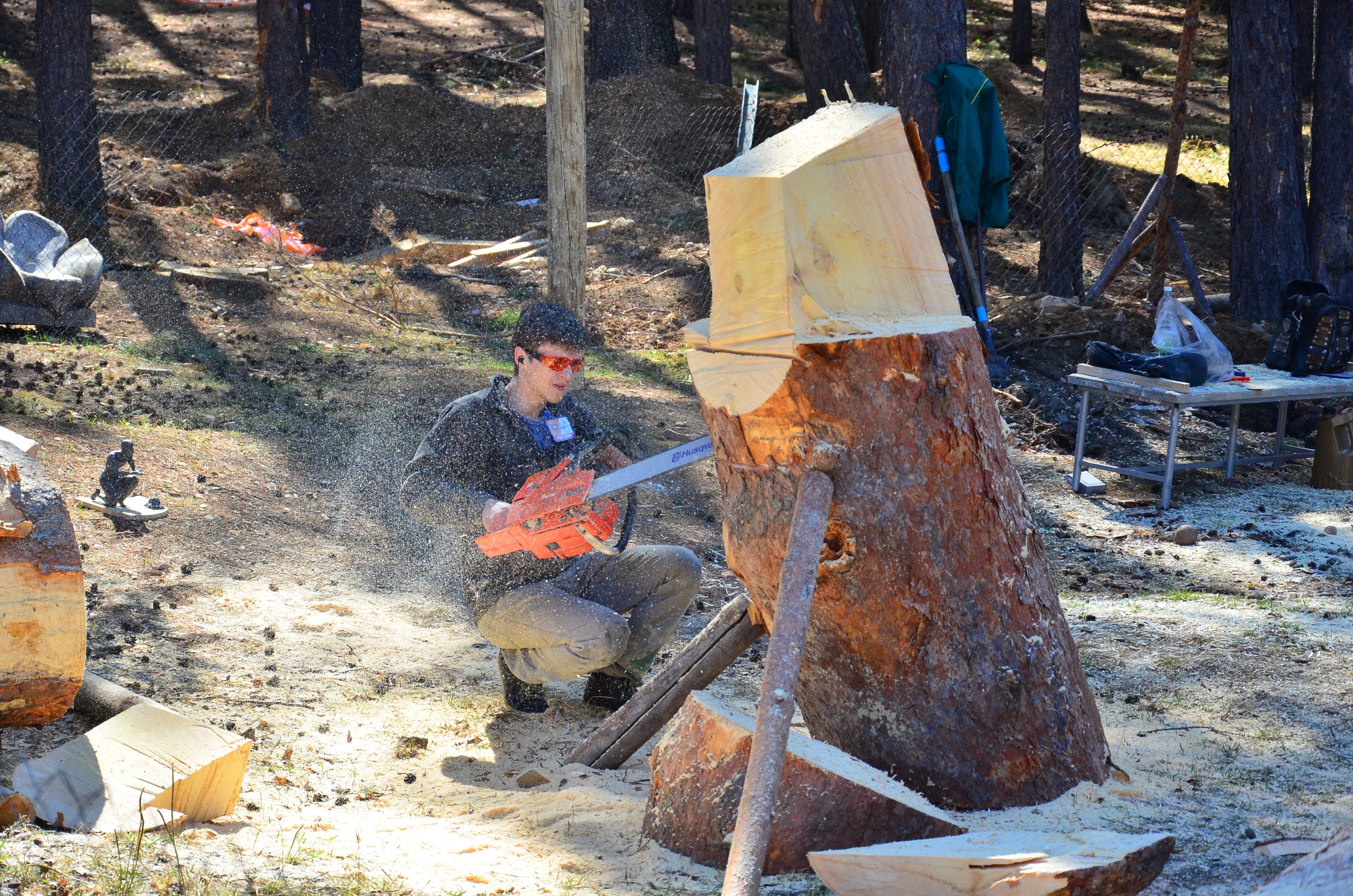 ЛУКОМОРЬЕ – 2015
