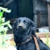 жизнь хороша