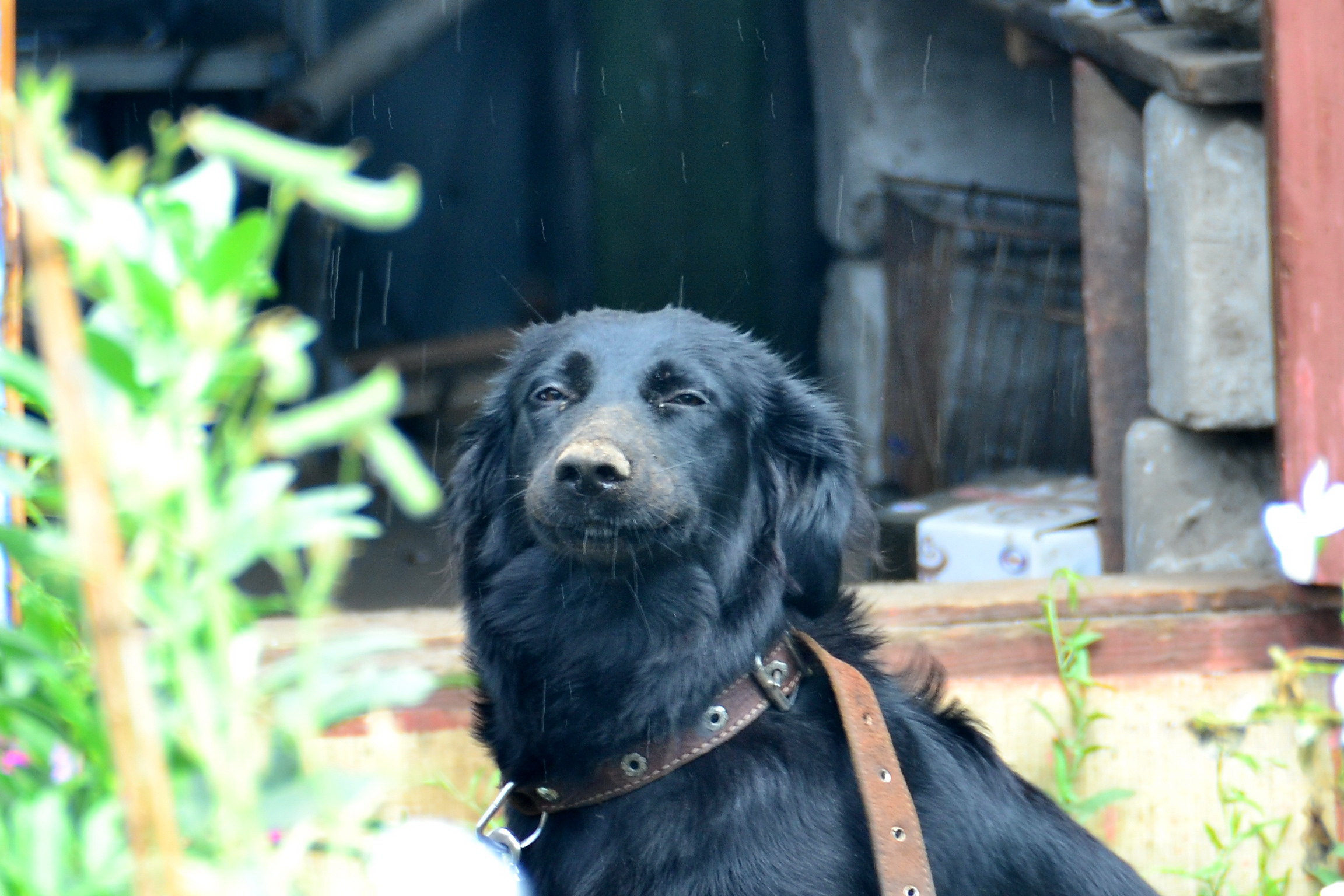 жизнь хороша