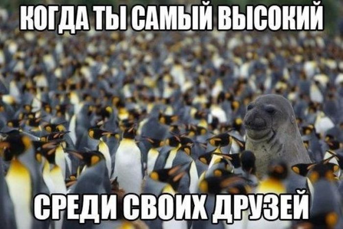 Когда ты самый высокий