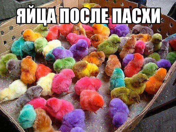 Яйца после пасхи