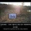 Курение Курение