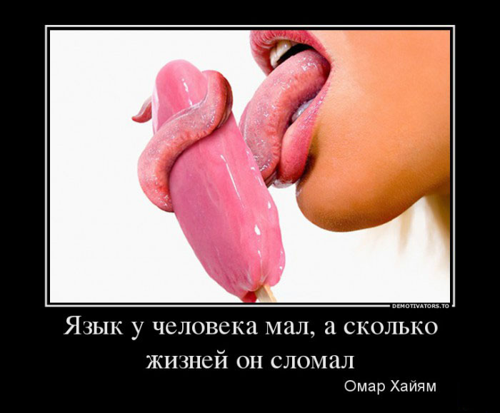 Язык