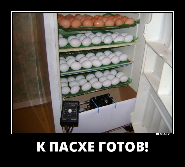 К пасхе готов!