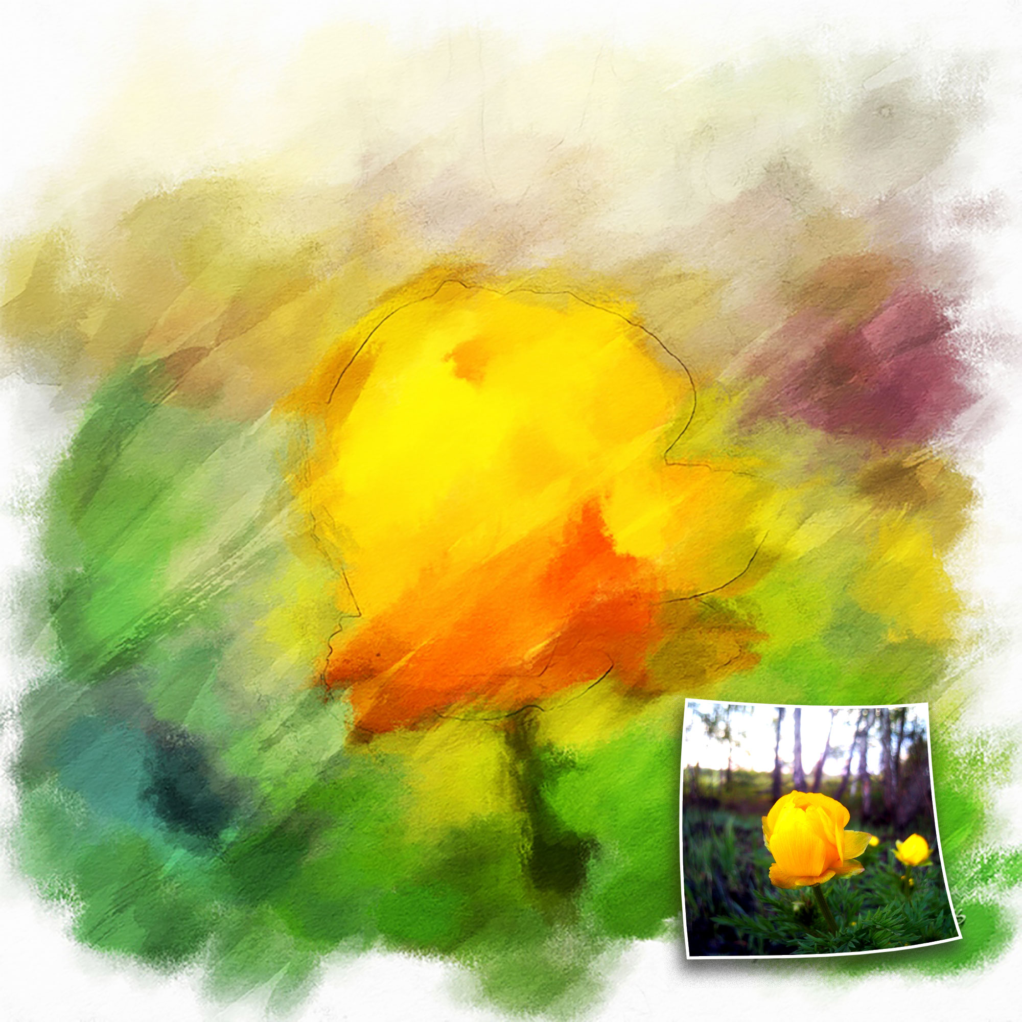 Flower picture