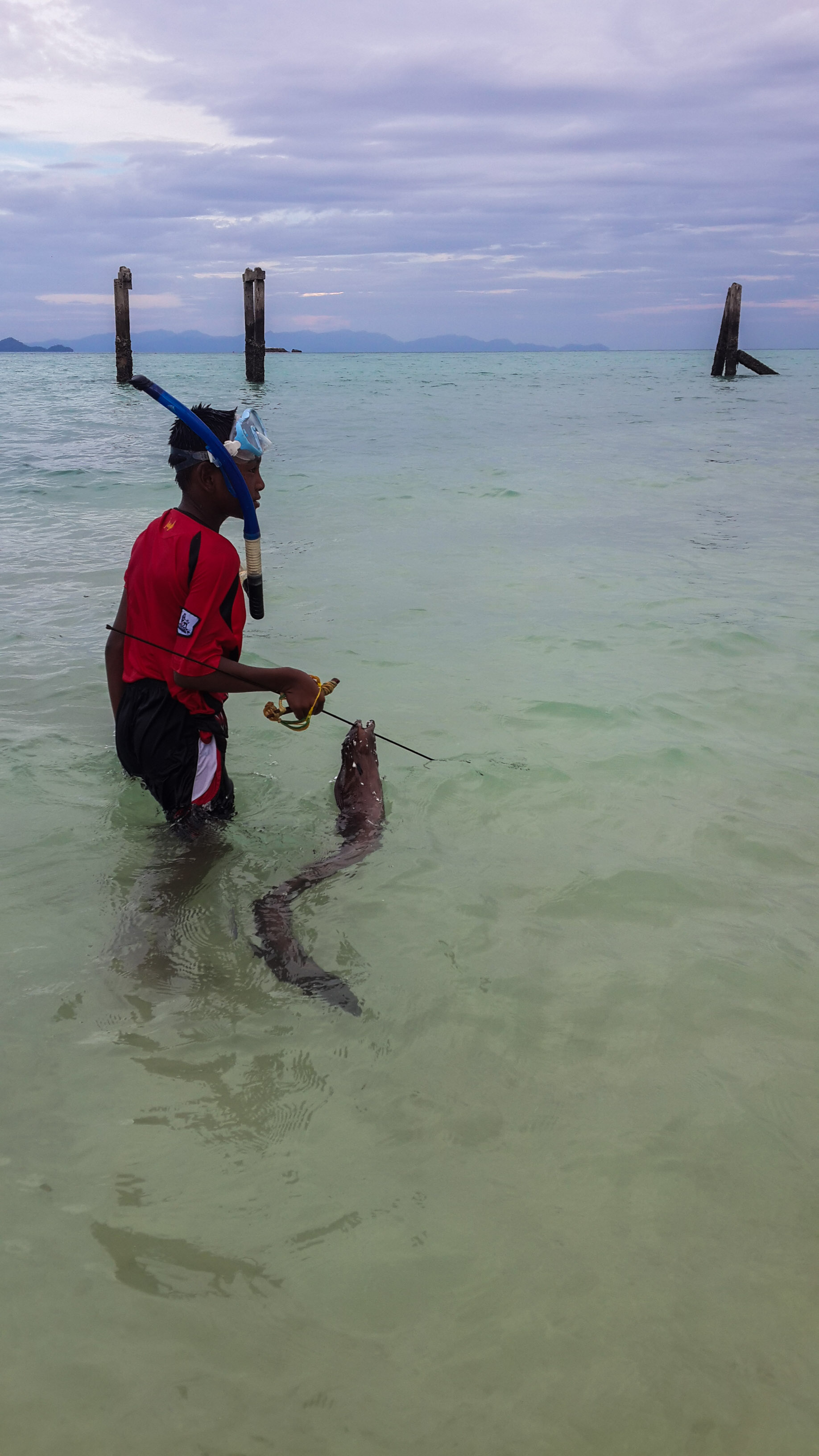 малыш  утром выловил мурену у берега 