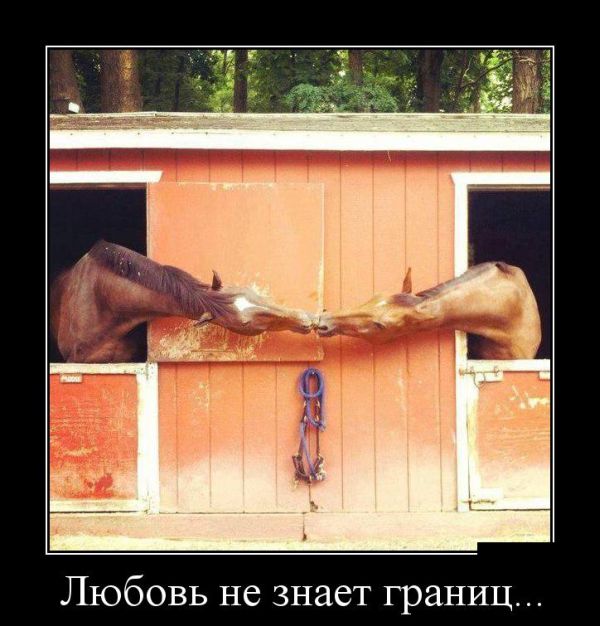 Любовь без границ