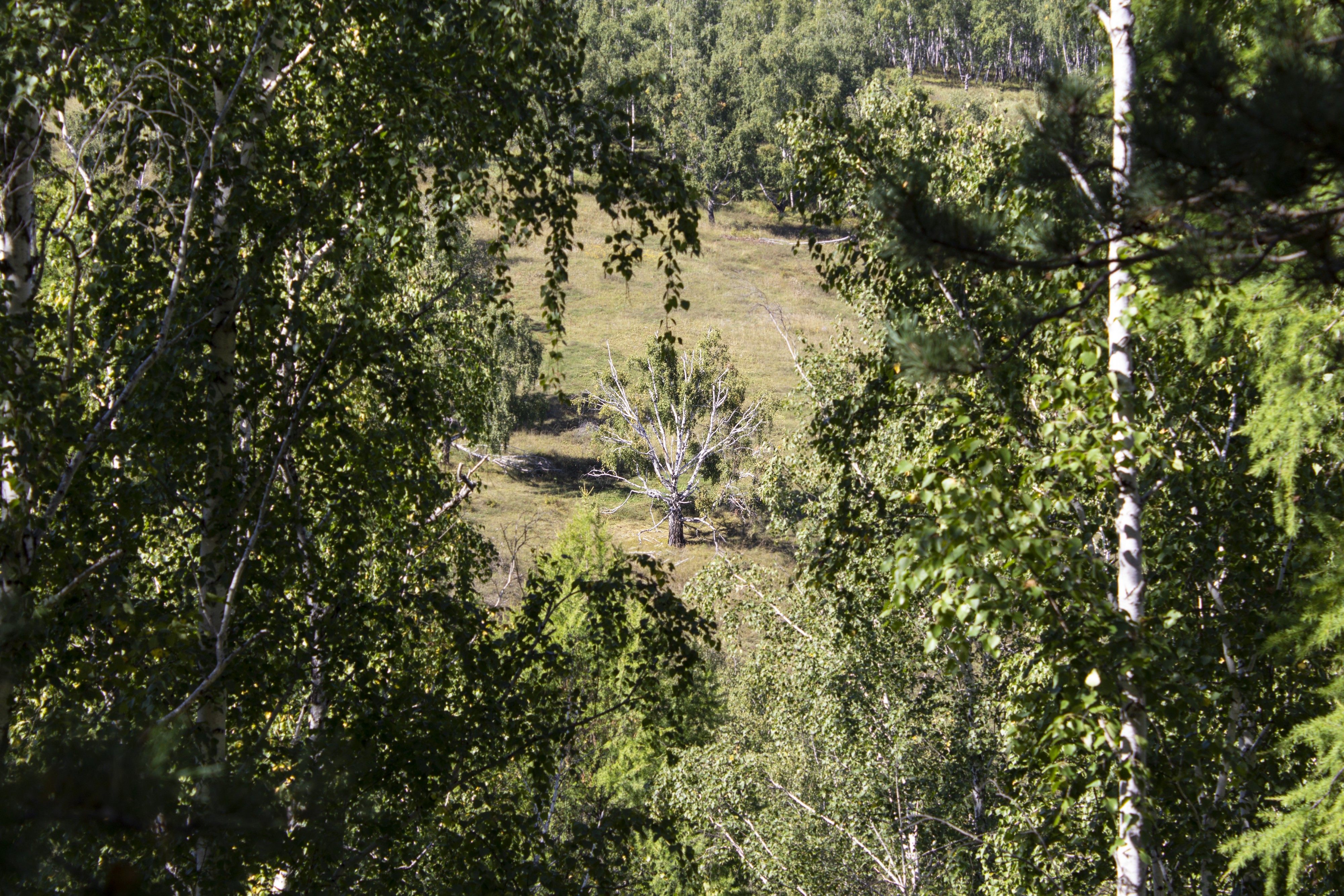 Черемховский Район