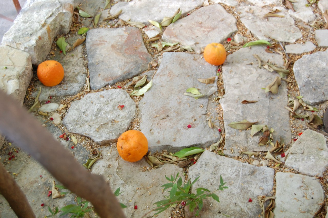 мандаринки