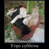Утро Утро