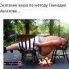 Без названия