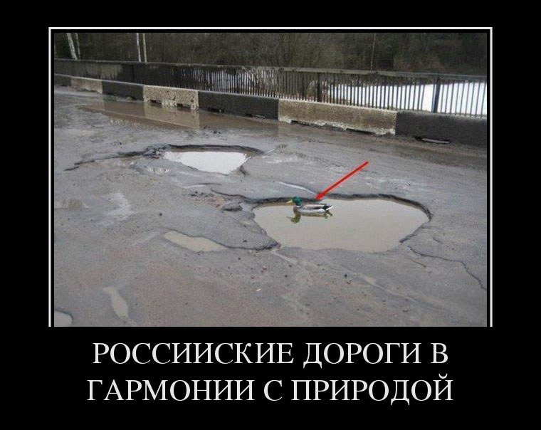 Гармония