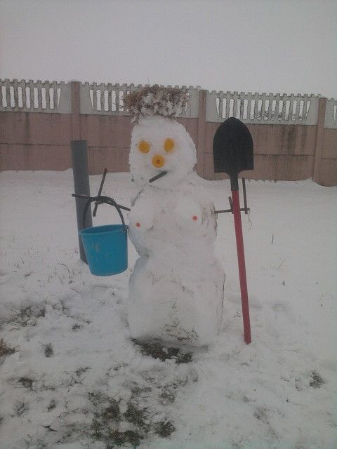 По картошку