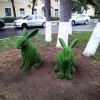 Зайки. Зайки.