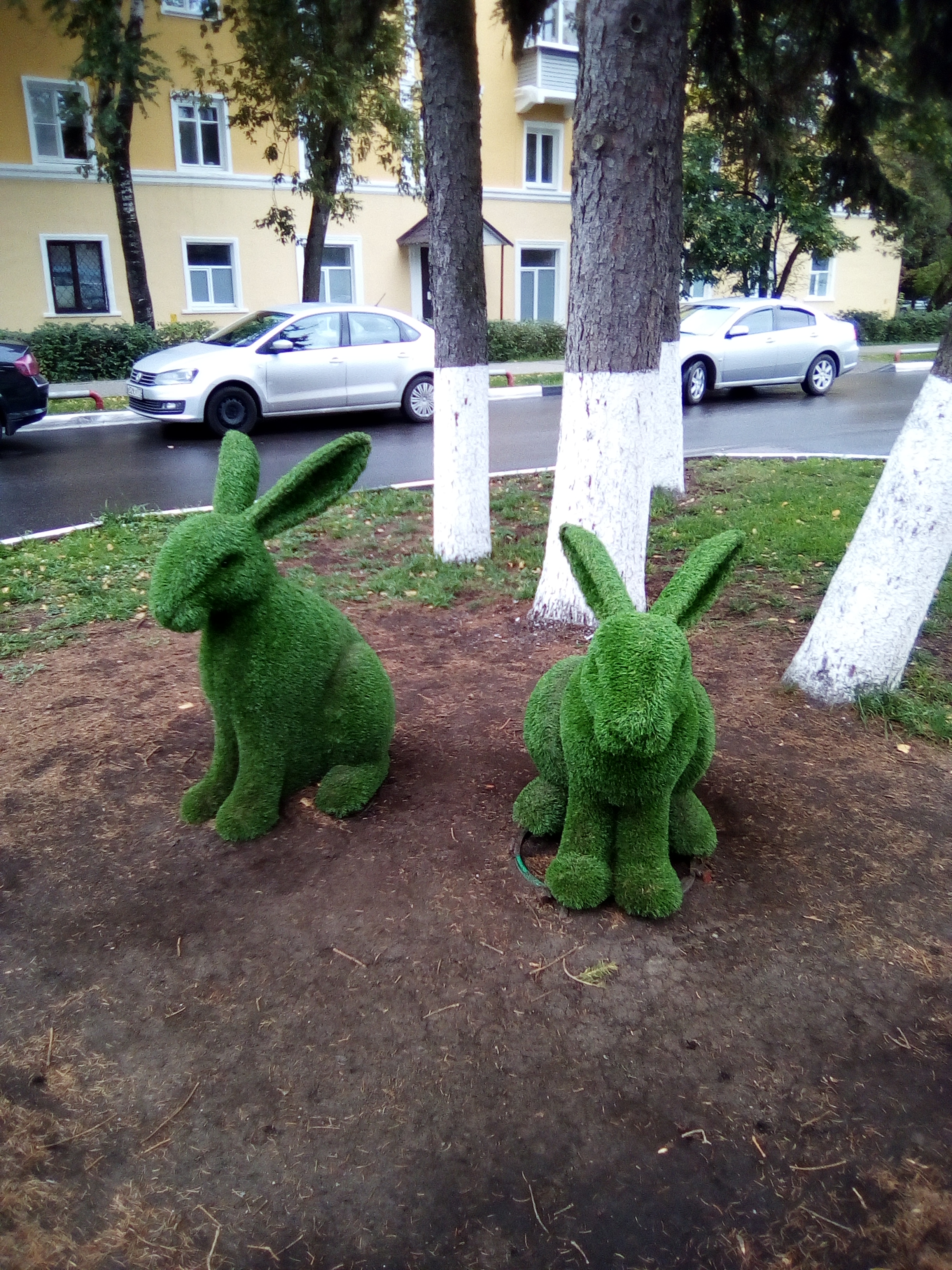 Зайки.