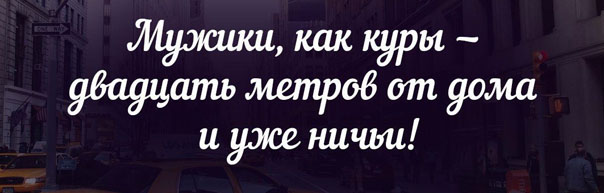 Мужики как куры