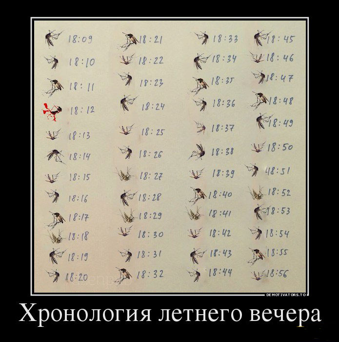 Хронология летнего вечера