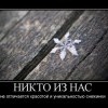 Никто из нас
