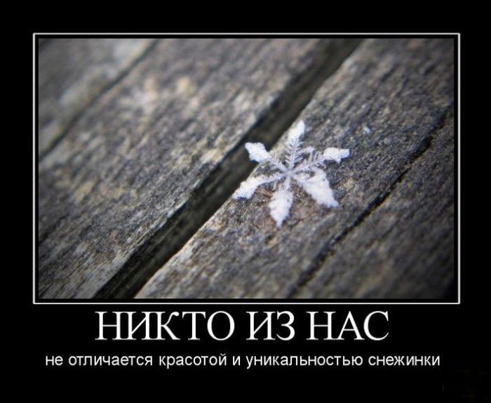 Никто из нас