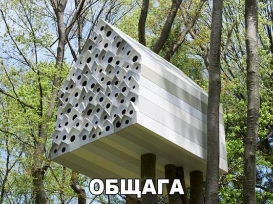 Общага