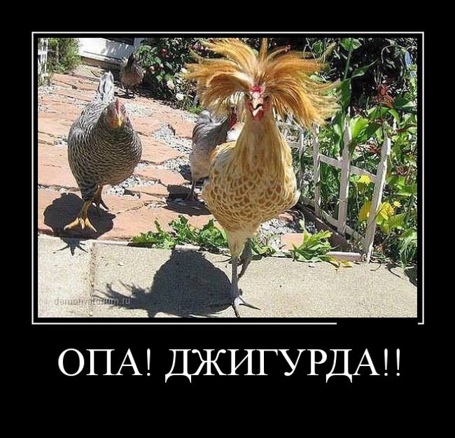 Джигурда