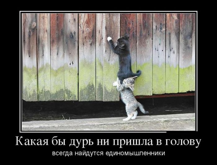 Дурь с единомышленниками
