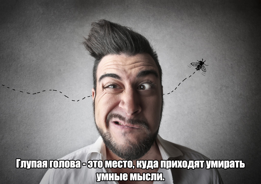 Глупая голова