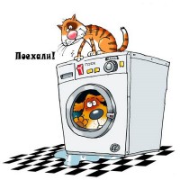 Карикатура.