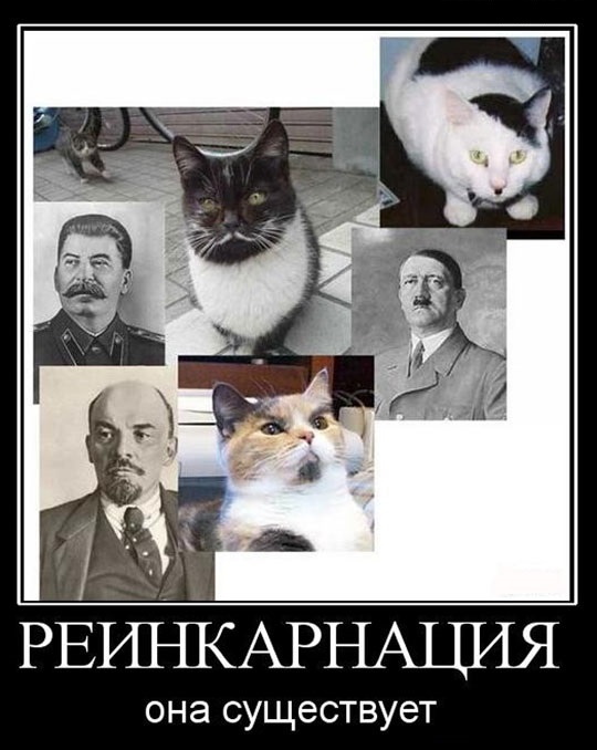 реинкарнация