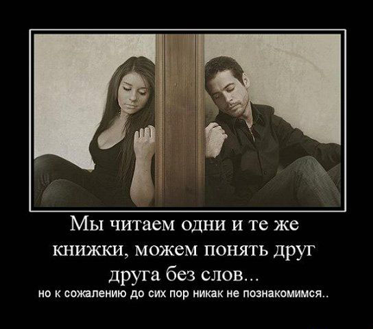 Единодушие
