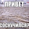 Соскучился?