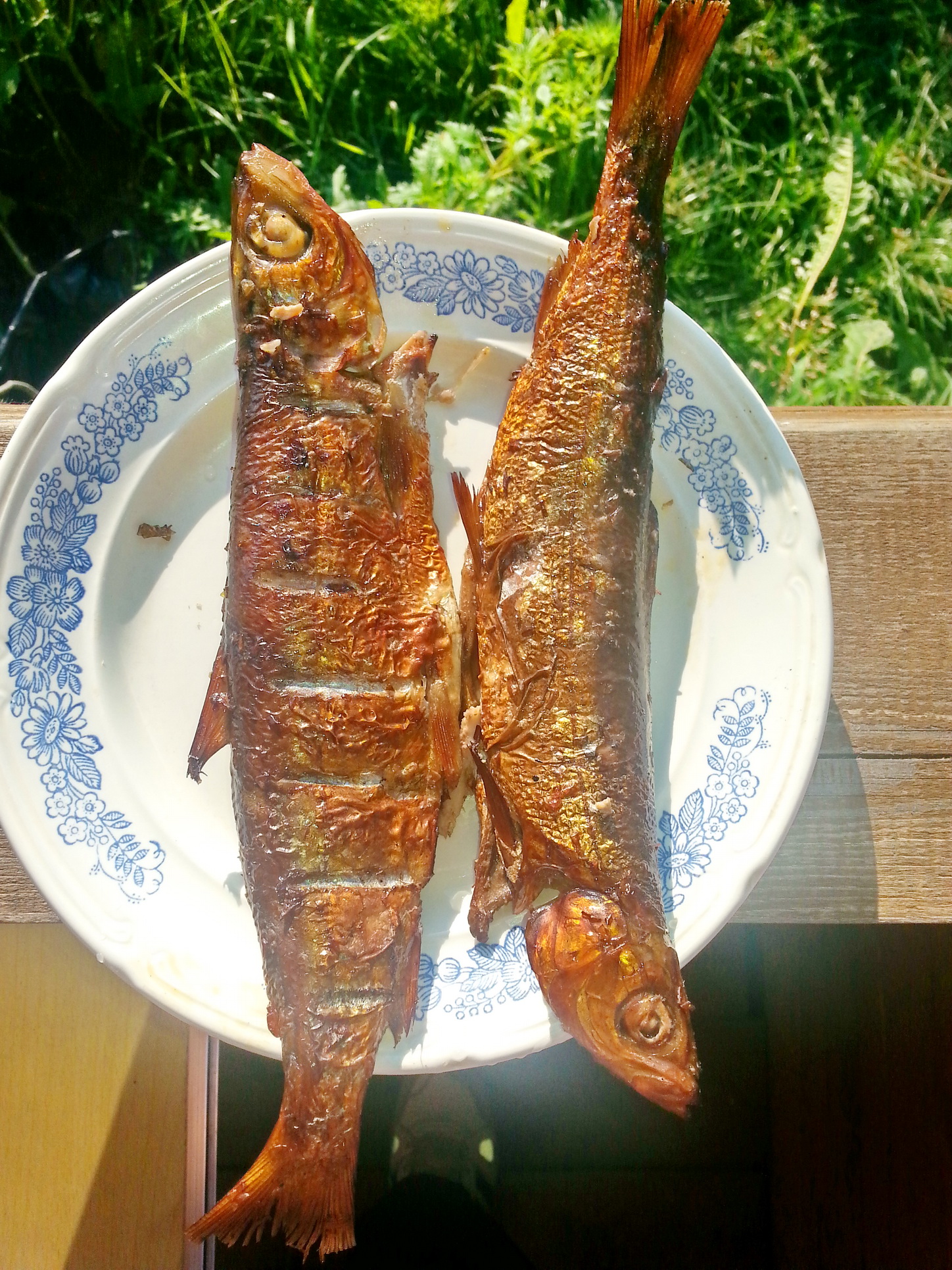 рыбопара))))