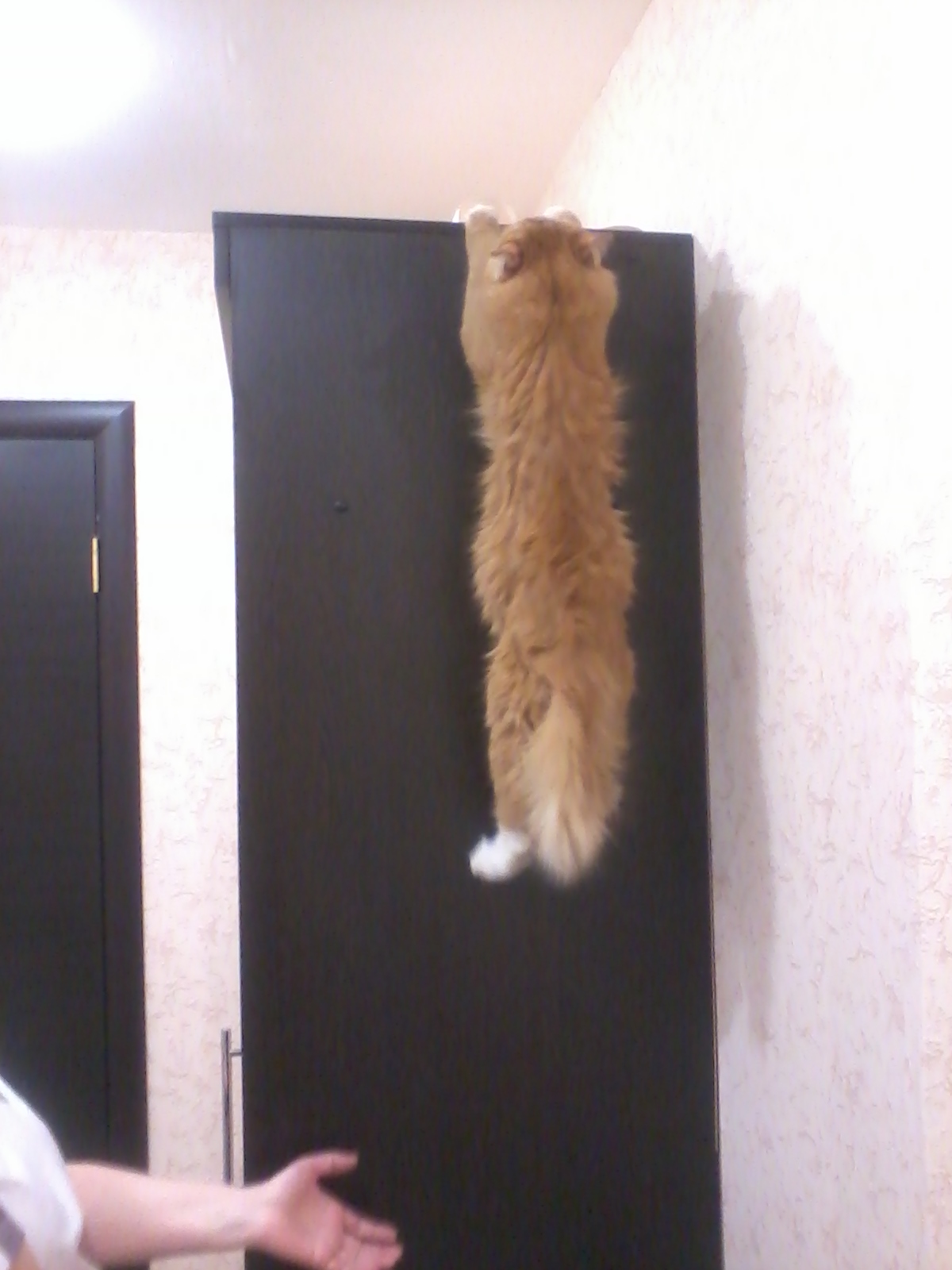 Подпрыгнул, а подтянуться не смог - так и висел.