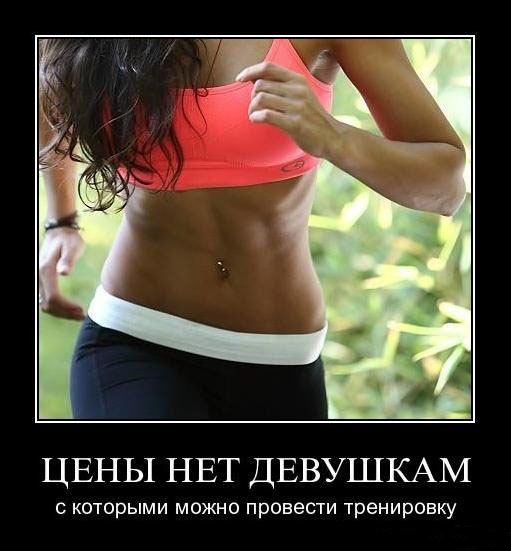 Провести тренировку