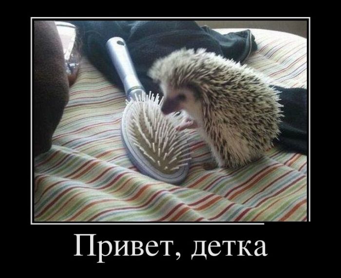 Привет детка
