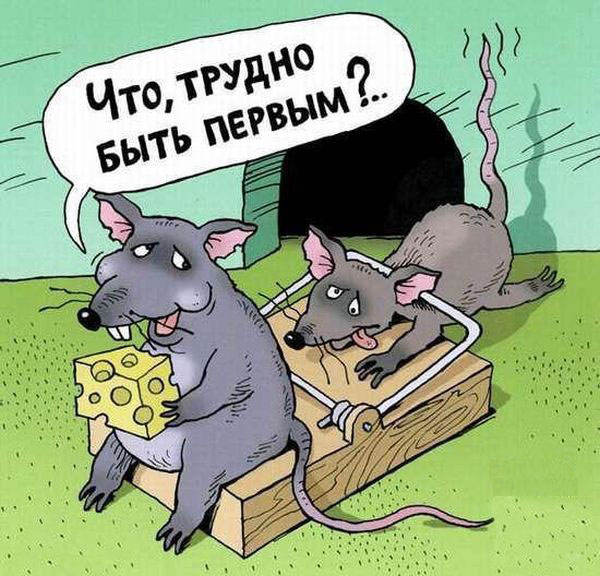Трудно быть первым