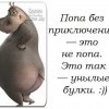 Без приключений Без приключений