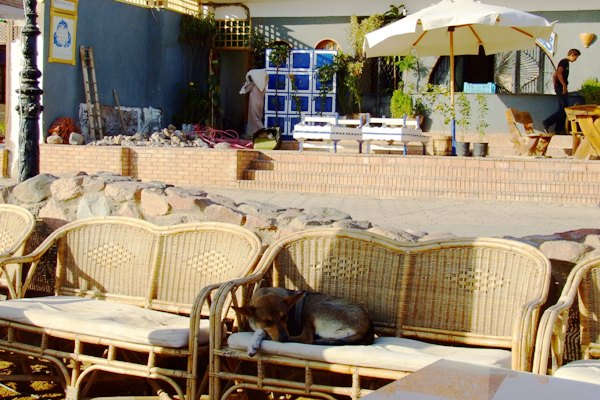 Типичное явление на египетском пляже