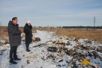 На территории города Ангарска обнаружена свалка останков трупов крупного рогатого скота