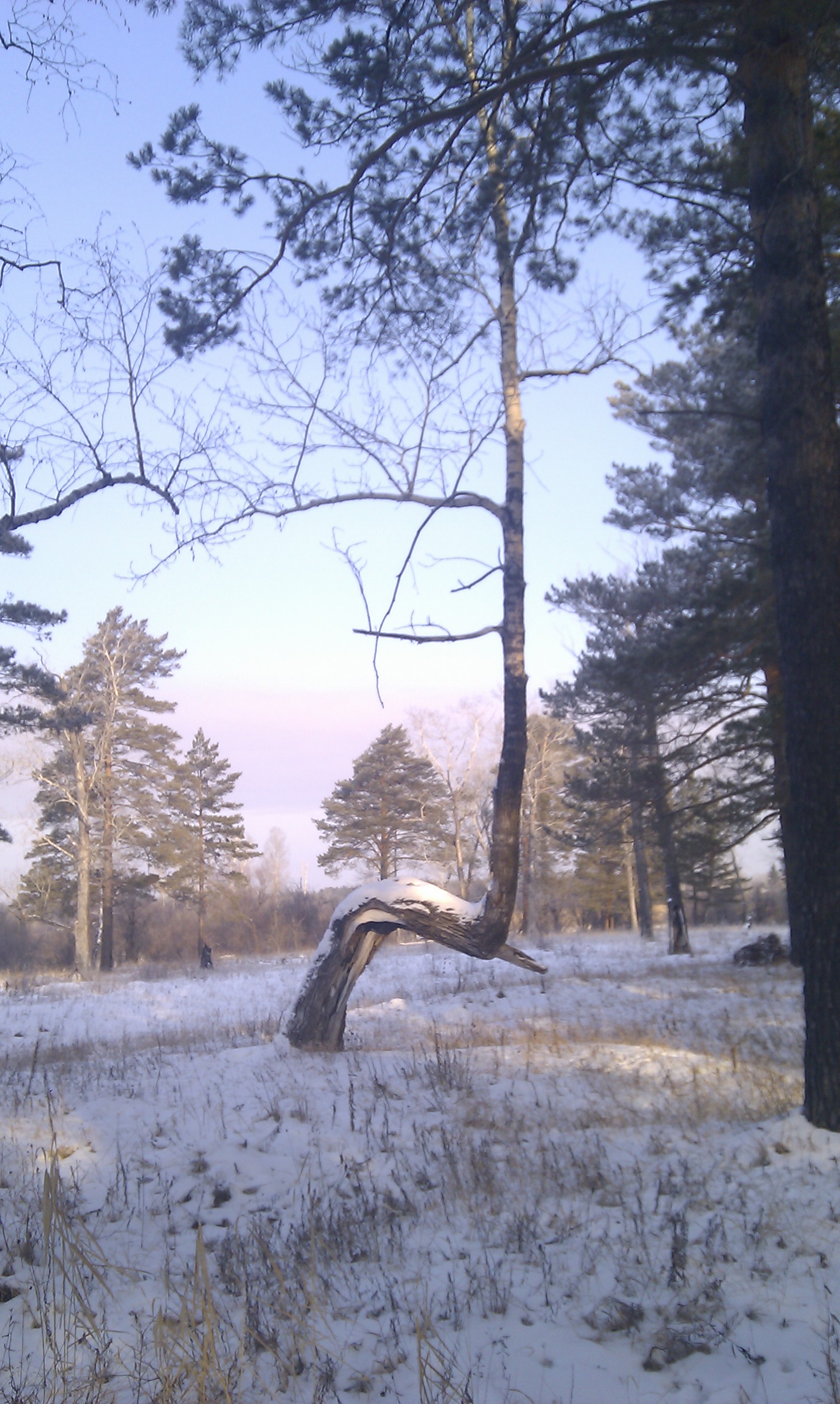 Эк перекасило))))