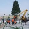 Сегодня на центральной площади города начался монтаж новогодней елки Сегодня на центральной площади города начался монтаж новогодней елки