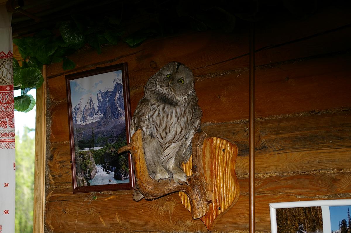 внутреннее убранство столовки