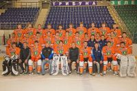 Оранжевая дружина Оранжевая дружина