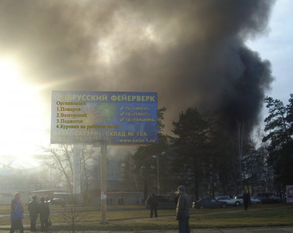 организейшен