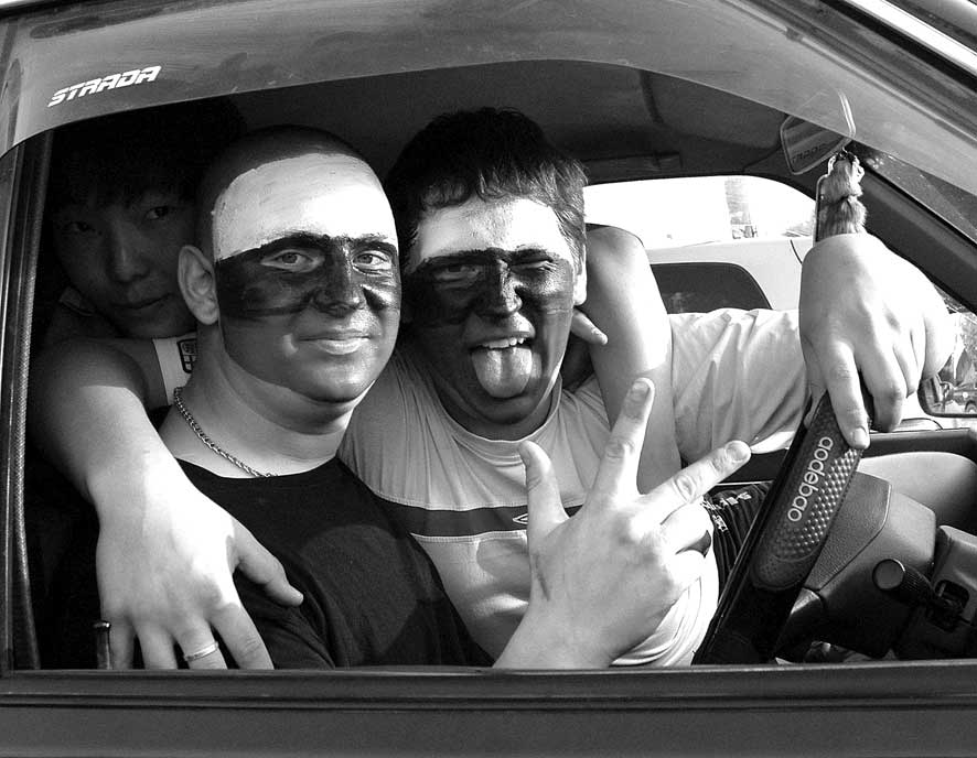 В такой «боевой раскраске» хоть в Австрию