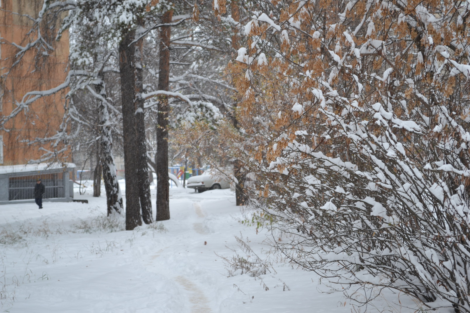 210й покров)))))