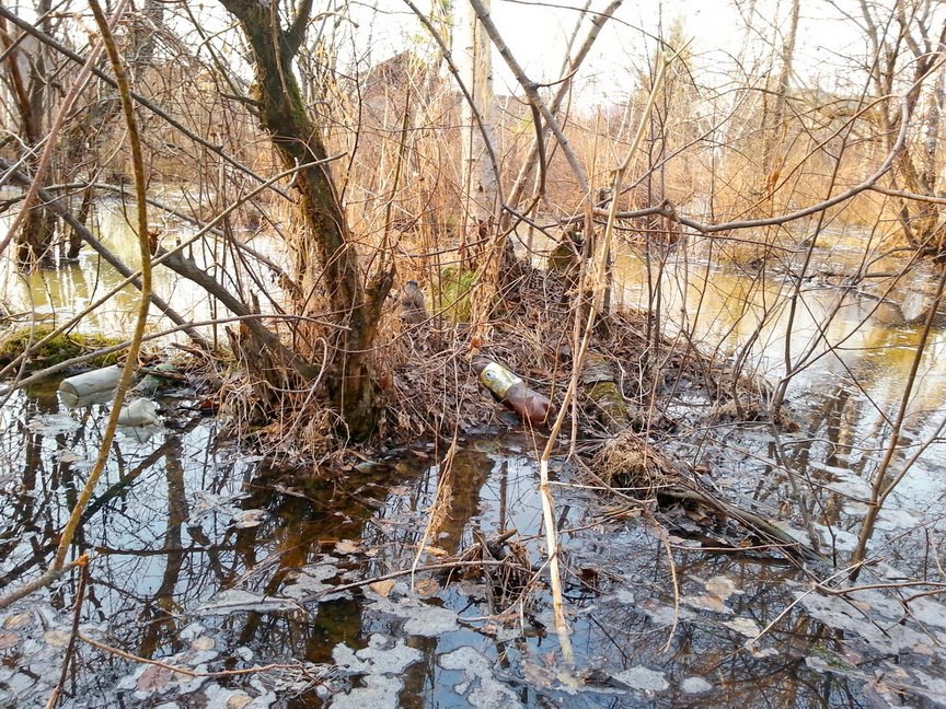 там ... у Расцвета)))))