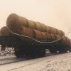 Черемховский район Черемховский район